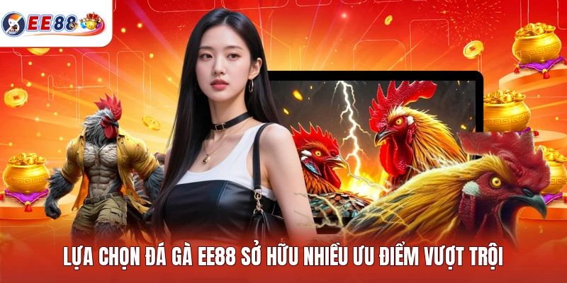 Lựa chọn đá gà EE88 sở hữu nhiều ưu điểm vượt trội